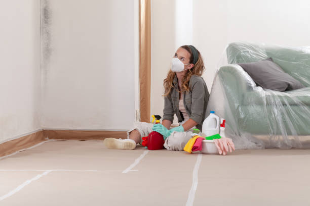 Reliable Mold Remediation contractor in Stratford, TX by 24 Hour Mold Removal